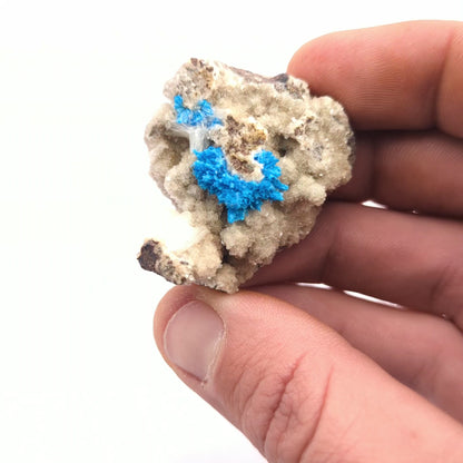 Cavansite On Stilbite