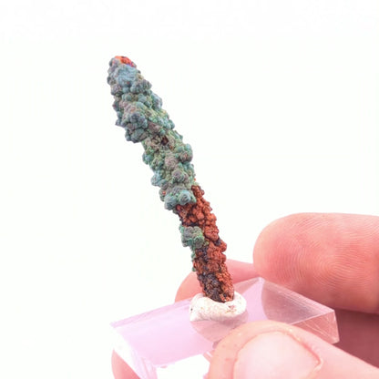 Malachite Stalactite W/Azurite & Malachite