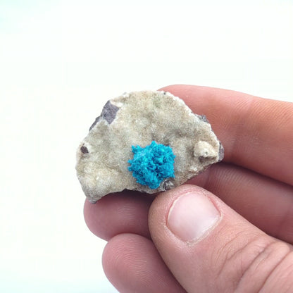 Cavansite On Stilbite