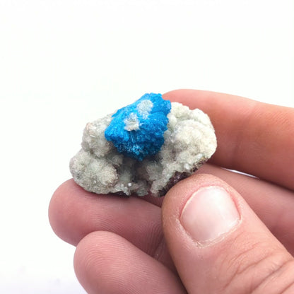 Cavansite On Stilbite