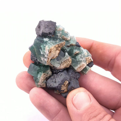 Fluorite W/ Galena (Greedy Hog Pocket)