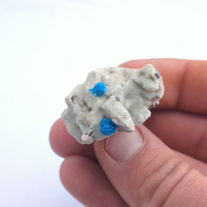 Cavansite On Stilbite