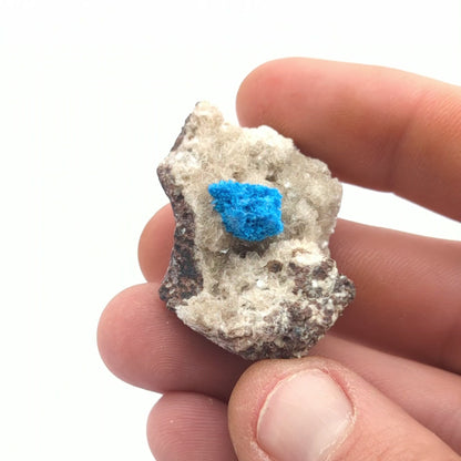 Cavansite On Stilbite