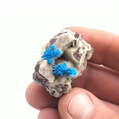 Cavansite On Stilbite