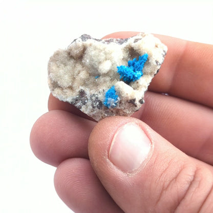 Cavansite On Stilbite