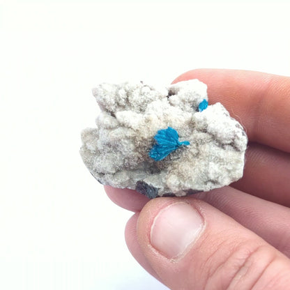 Cavansite On Stilbite