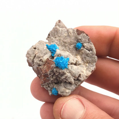 Cavansite On Stilbite