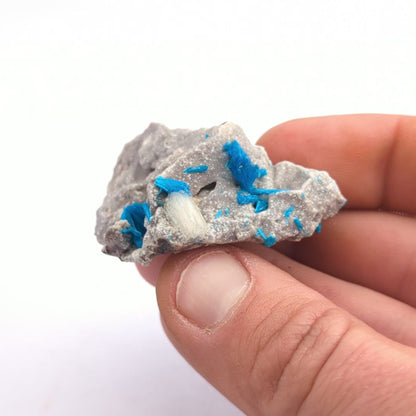 Cavansite On Stilbite