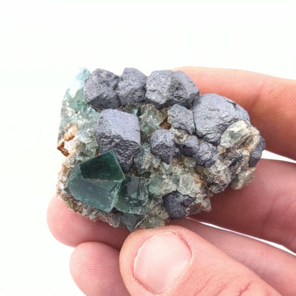 Fluorite W/Galena (Greedy Hog Pocket)