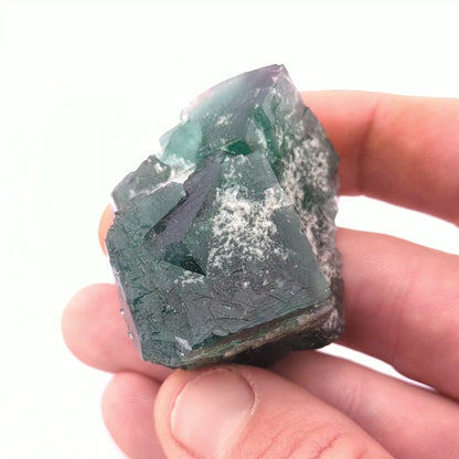 Fluorite (Greedy Hog Pocket)