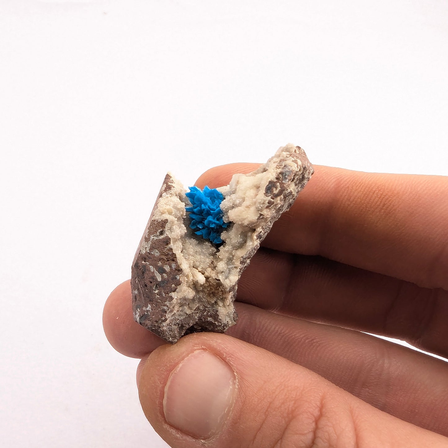 Cavansite On Stilbite