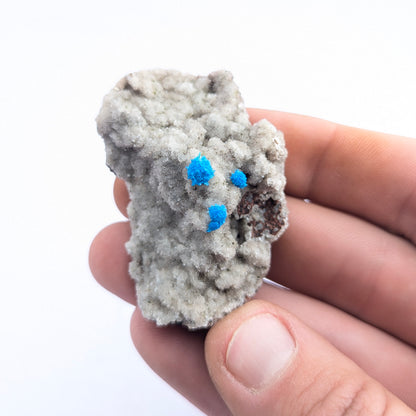 Cavansite On Stilbite