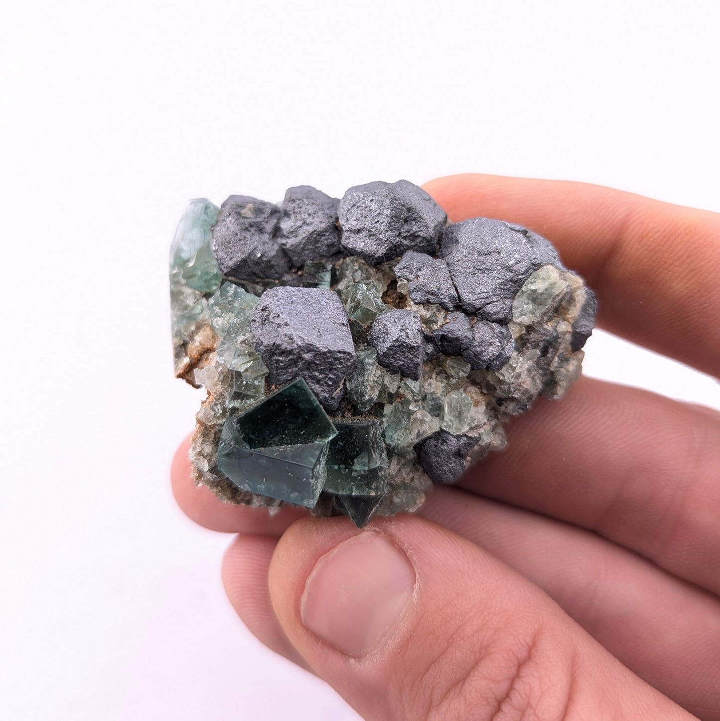 Fluorite W/Galena (Greedy Hog Pocket)