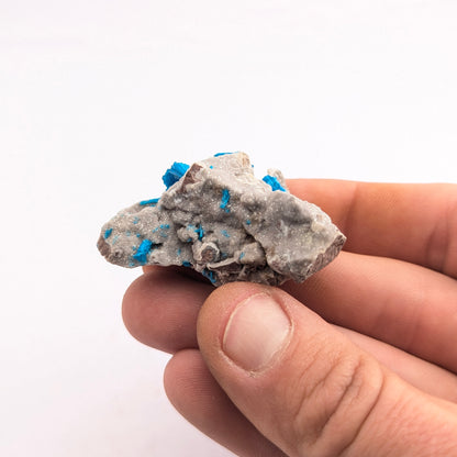 Cavansite On Stilbite