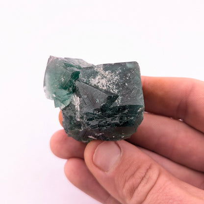 Fluorite (Greedy Hog Pocket)