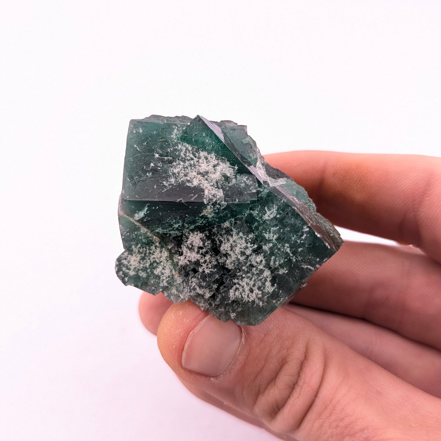 Fluorite (Greedy Hog Pocket)