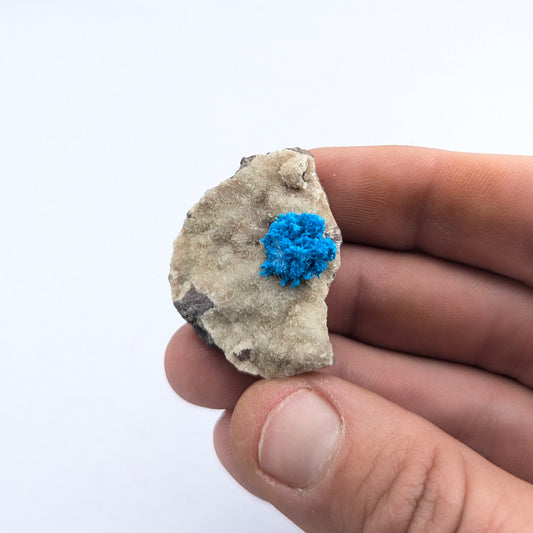 Cavansite On Stilbite