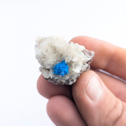 Cavansite On Stilbite