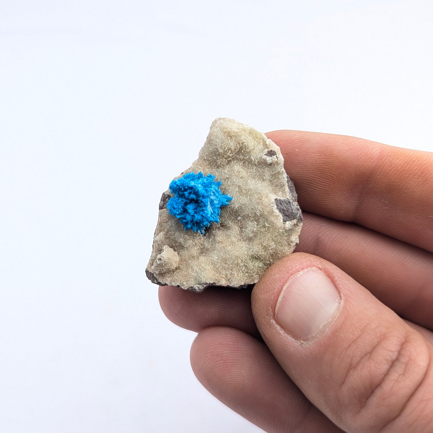 Cavansite On Stilbite