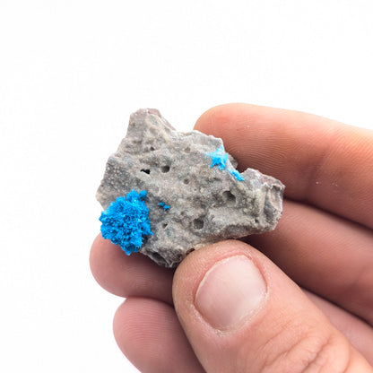 Cavansite On Basalt