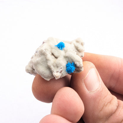 Cavansite On Stilbite