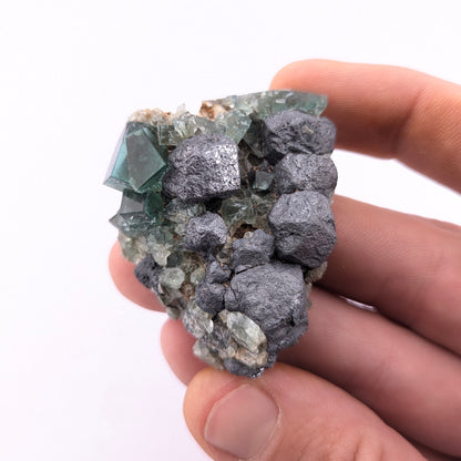 Fluorite W/Galena (Greedy Hog Pocket)