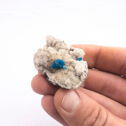 Cavansite On Stilbite