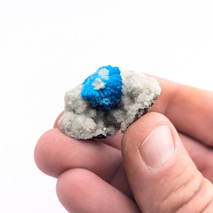 Cavansite On Stilbite