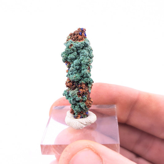 Malachite Stalactite W/Azurite & Limonite