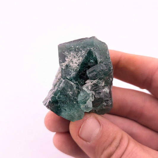 Fluorite (Greedy Hog Pocket)