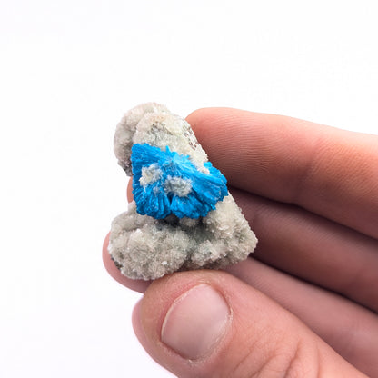 Cavansite On Stilbite