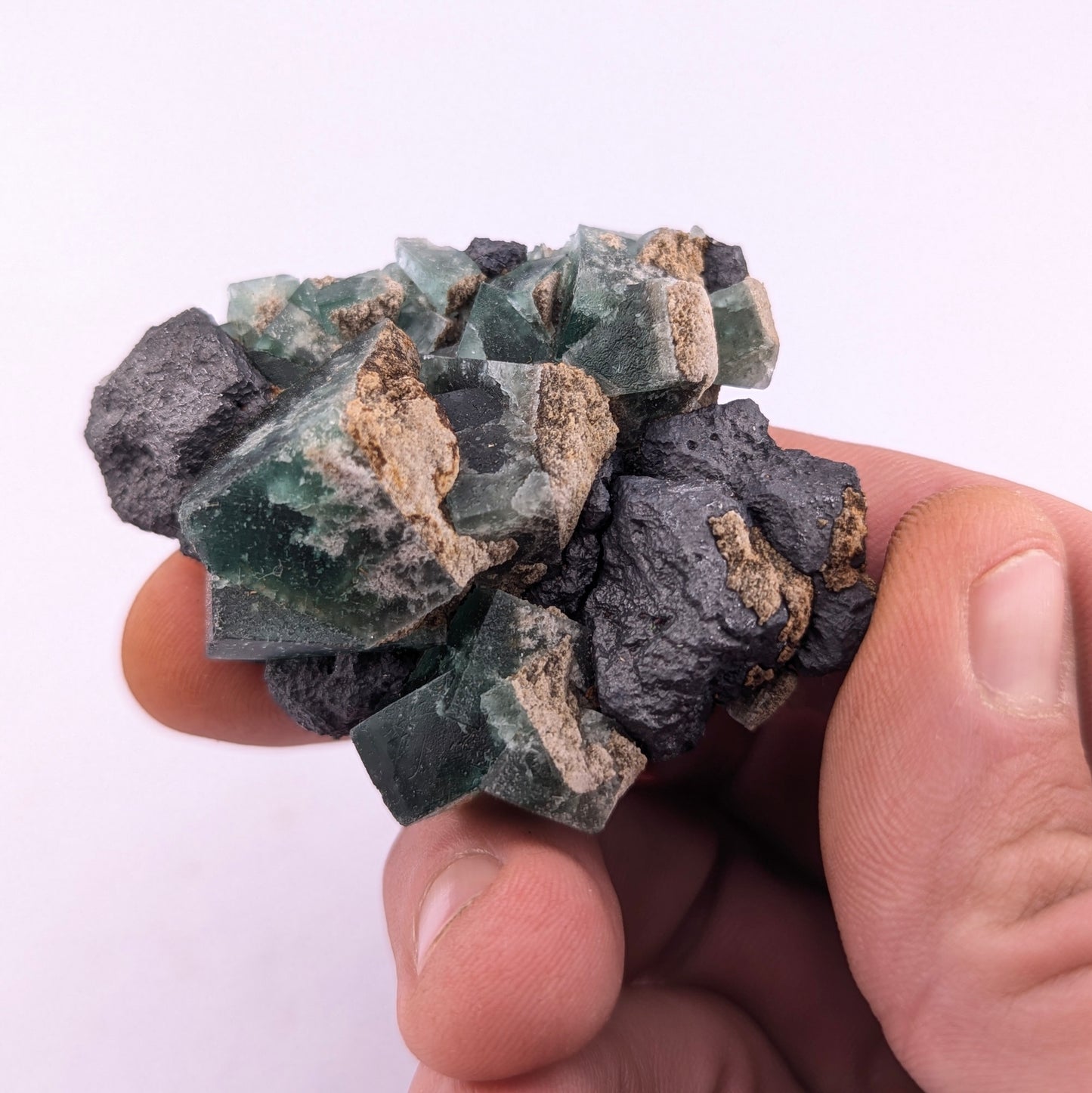 Fluorite W/ Galena (Greedy Hog Pocket)