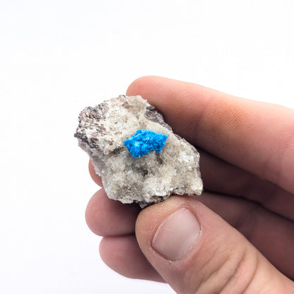 Cavansite On Stilbite