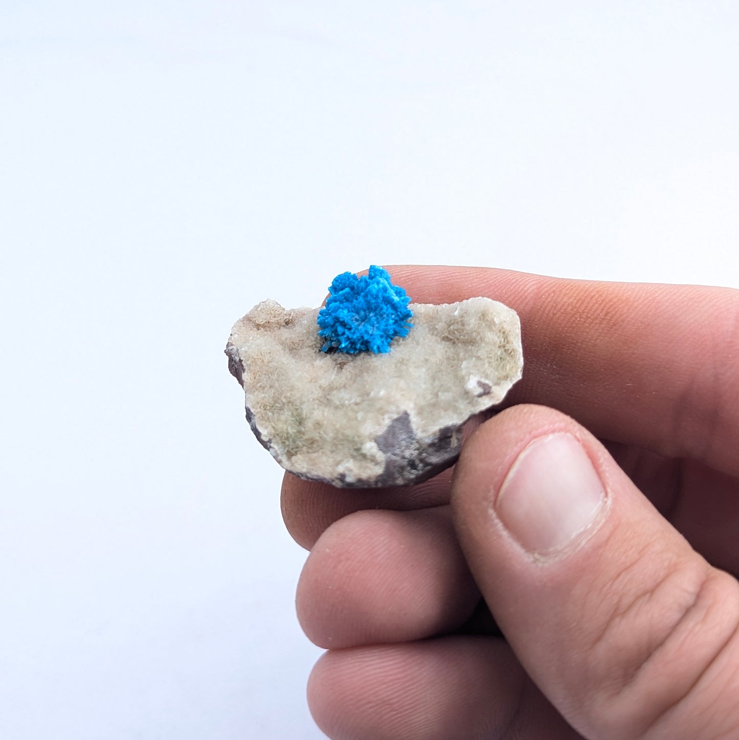 Cavansite On Stilbite