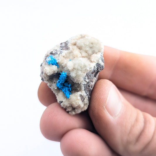 Cavansite On Stilbite