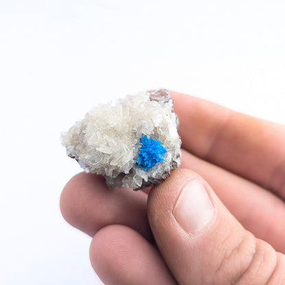 Cavansite On Stilbite