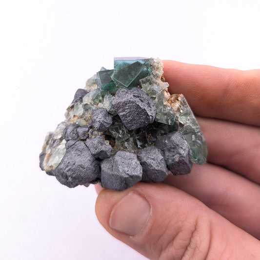 Fluorite W/Galena (Greedy Hog Pocket)