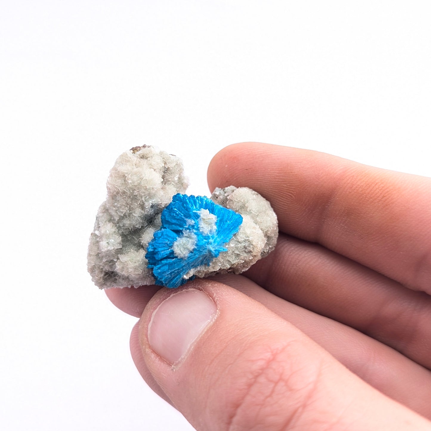 Cavansite On Stilbite