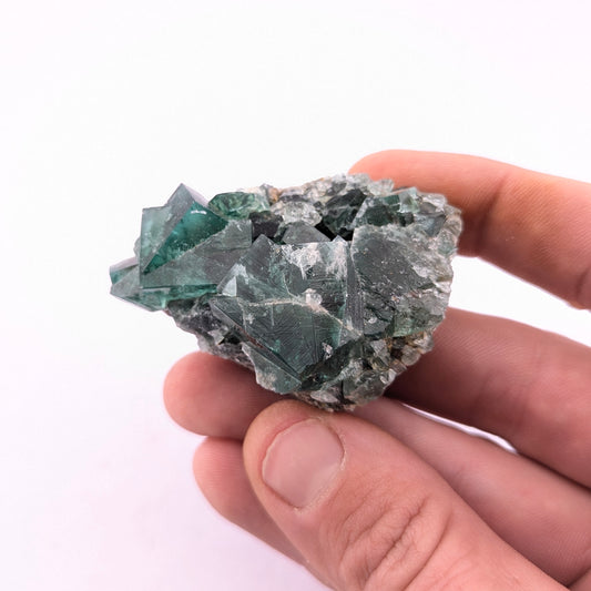 Fluorite (Greedy Hog Pocket)