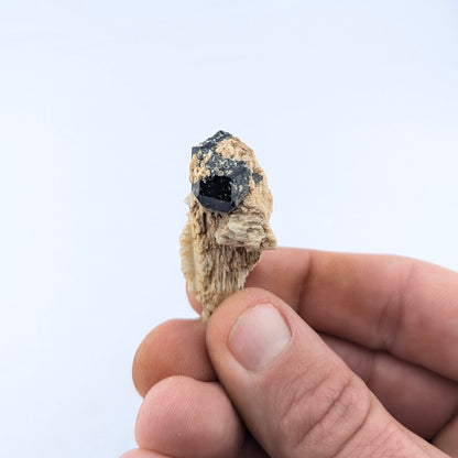 Black Tourmaline On Feldspar