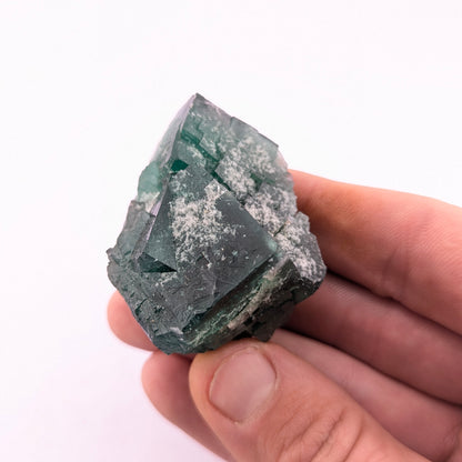 Fluorite (Greedy Hog Pocket)